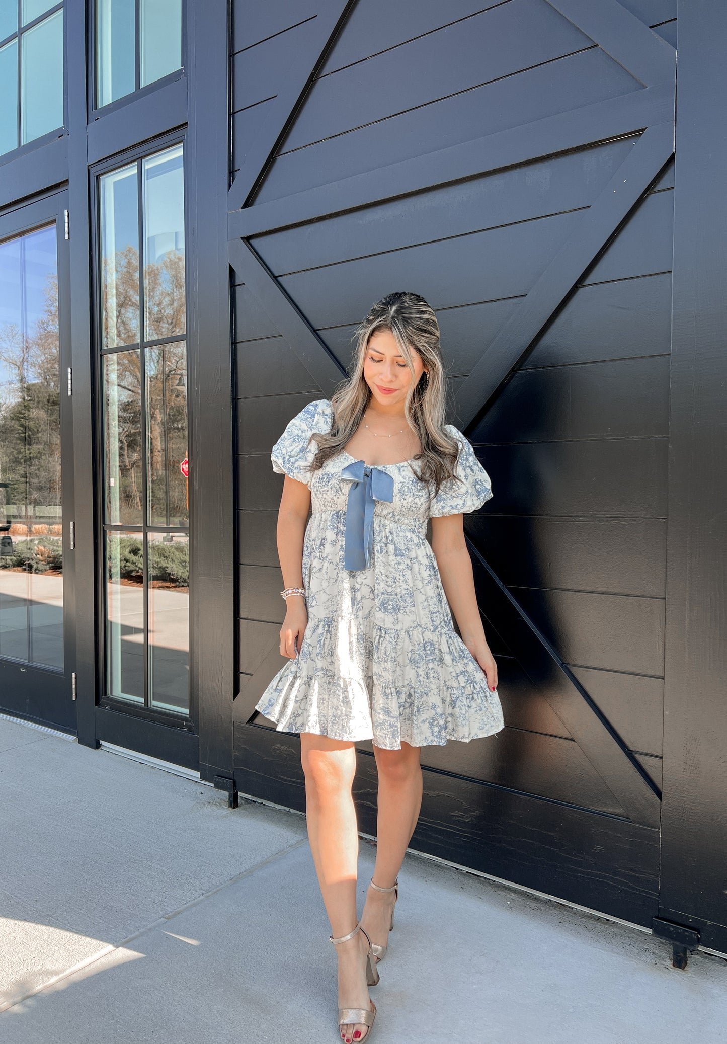 Vintage Dress