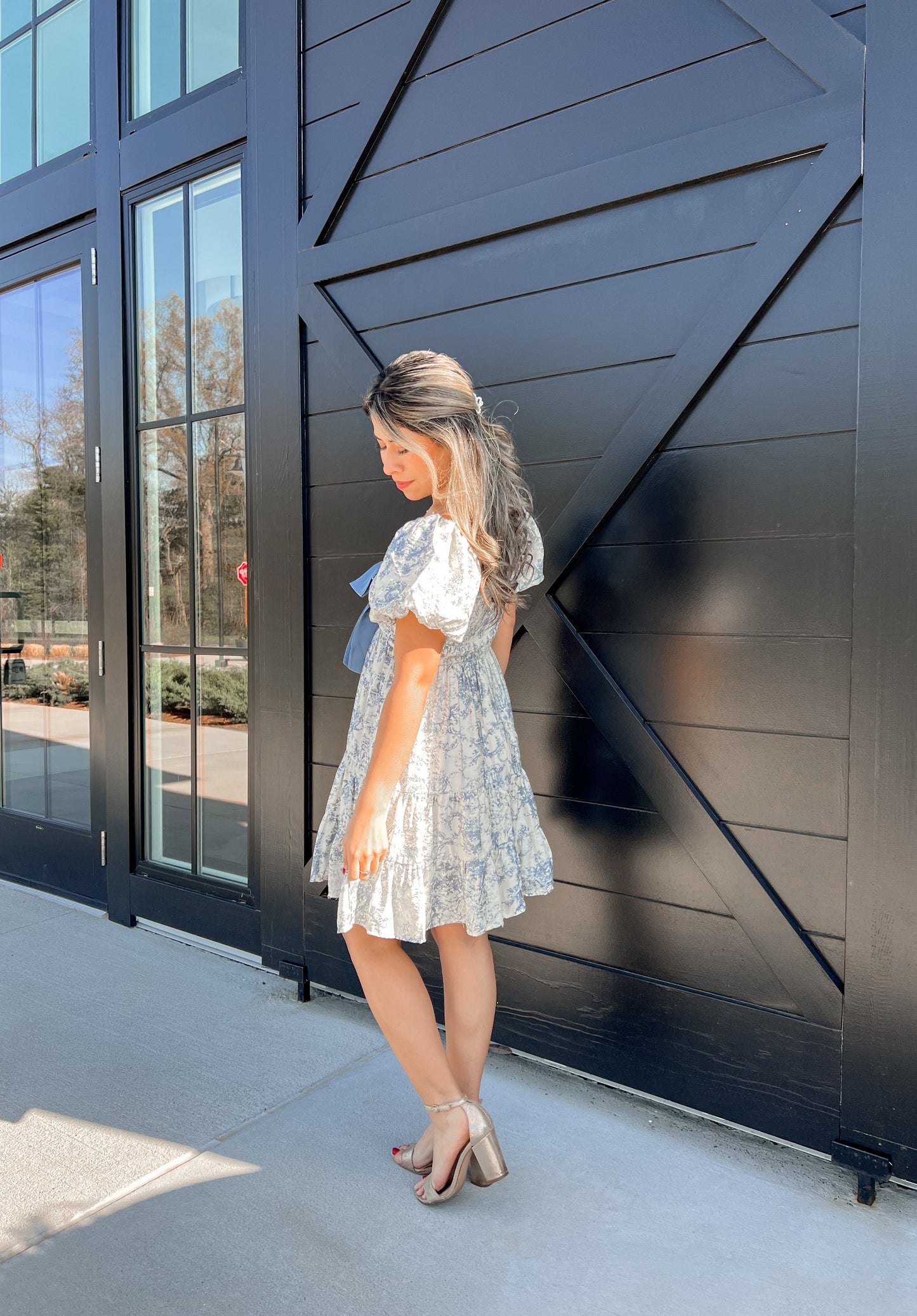 Vintage Dress