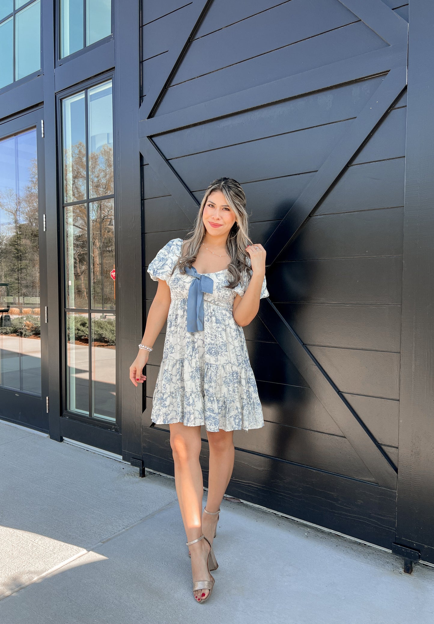 Vintage Dress