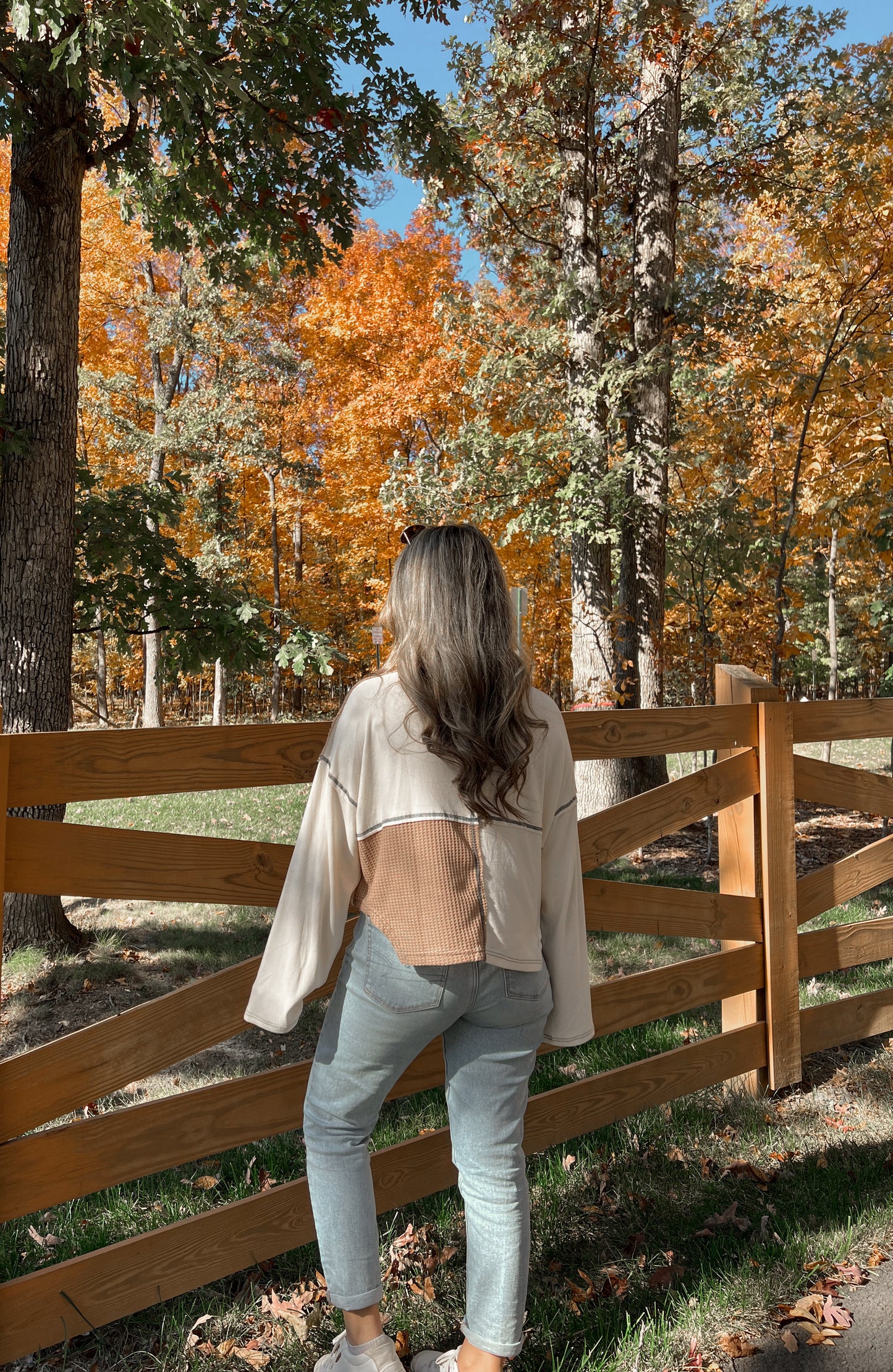 Pumpkin Patch Long Sleeve